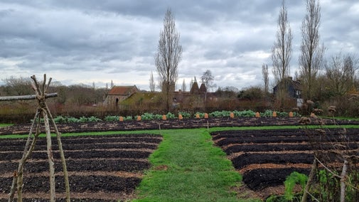 No Dig at Sissinghurst's vegetable garden